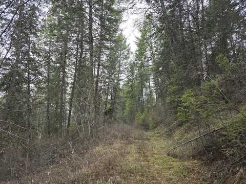 TBD VANESSE RD, KETTLE FALLS, WA 99141