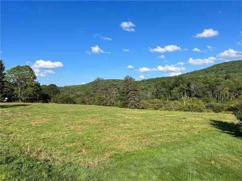 0 County Highway 33, Cooperstown, NY 13326
