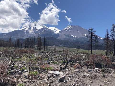 440 Acres North Slope of Mount Shasta, Weed, CA 96094