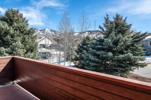 330 CHERRY DRIVE, Steamboat Springs, CO 80487