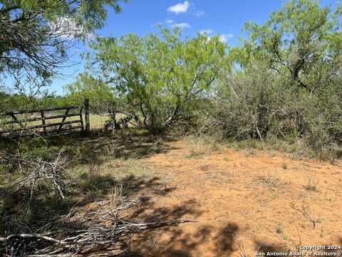 Carroll Road, Dilley, TX 78017