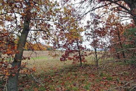 Lot20 Timber Trail, Spring Green, WI 53588