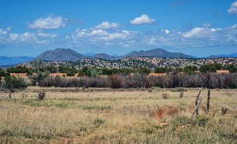 561 General Goodwin Road, Cerrillos, NM 87010