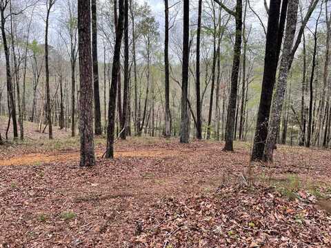 LOT 3 SHORESIDE AT SIPSEY, Double Springs, AL 35553