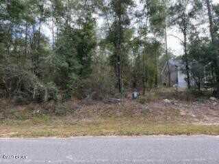 0000 Paradise Lakes Road, Chipley, FL 32428