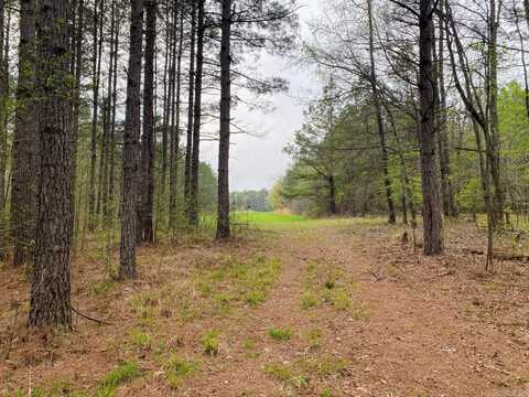 000 Bowenhill Rd, Gurdon, AR 71743