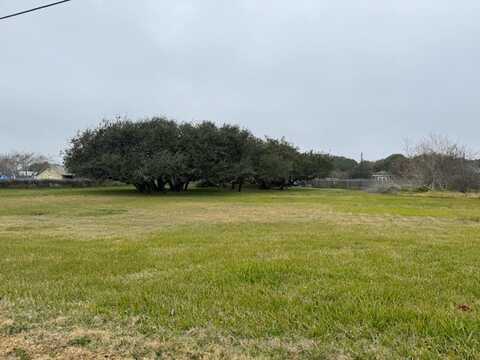 1358 S Rife, Aransas Pass, TX 78336