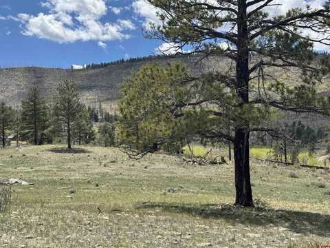 150 Rickel Circle, South Fork, CO 81154