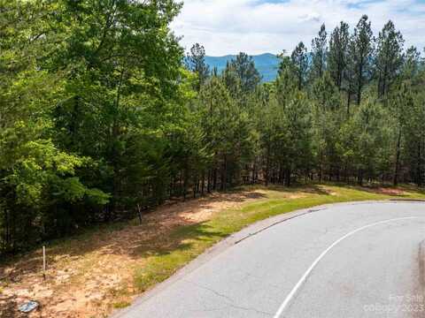 Lot 115 Deep Gap Farm Road E, Mill Spring, NC 28756