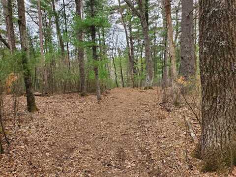 Lots 54, 55, 56 FLY ROD TRAIL, Wisconsin Rapids, WI 54494