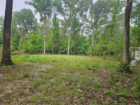 1334 Newark Dr, Fort White, FL 32038