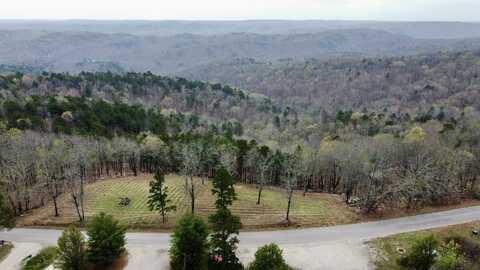 000 Skyline Drive, Van Buren, MO 63965