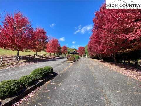 Lot #1 Twin Oaks Mountain Boulevard, Sparta, NC 28675