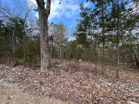 TBD Lake Haven Drive, Lead Hill, AR 72644