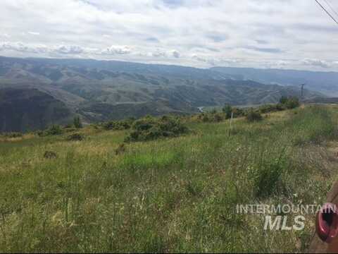 Tbd Blue Grouse Rd, White Bird, ID 83554