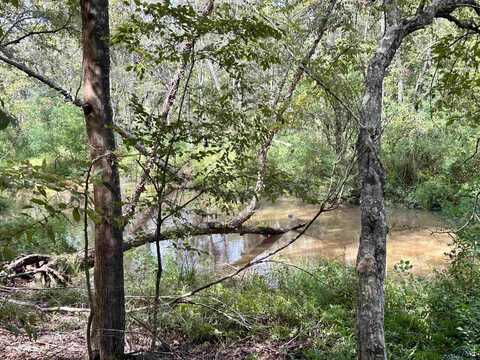 Tbd E Lake, Gladewater, TX 75645