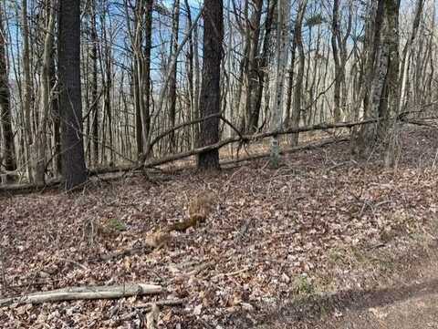 2 Bear Trak Rd, GAP MILLS, WV 24941