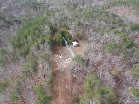 1030 County Road 202, County, AL 36272