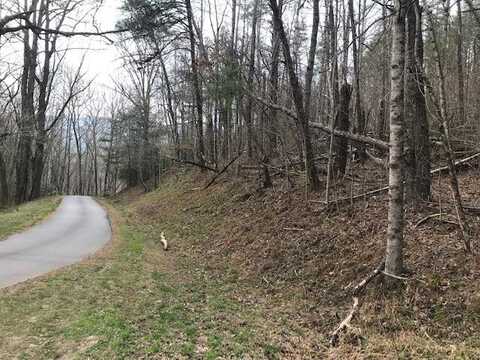 E Sweetwater Bend Drive, Hayesville, NC 28904