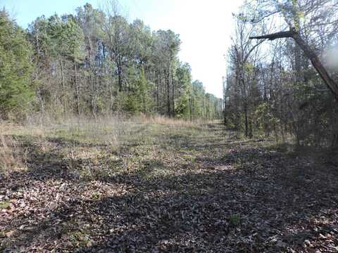 HWY 250 /Pebblefield, Waldron, AR 72958