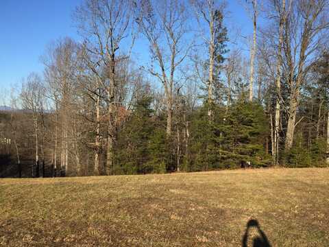 Lot 64 North Church DR, Hardy, VA 24101