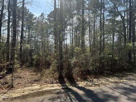 820 Mimosa Drive, Vass, NC 28394