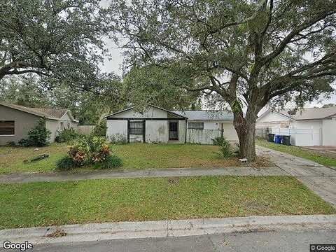 Palmview, TAMPA, FL 33625