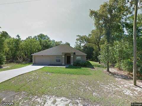 Alpinia, CITRUS SPRINGS, FL 34434