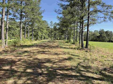 TBD LAKELAND RANCH SEC 1. BLK 1, LOT 14, Hillister, TX 77624