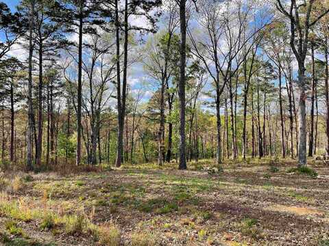Lot 6R Orchard Hill Replat Ph 1, Conway, AR 72034