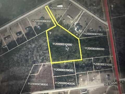 Lot 14 Louise Miles Rd., Marion, SC 29571