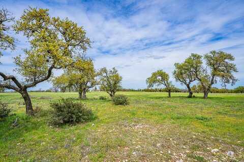 113 Ranch Rd 783, Harper, TX 78631