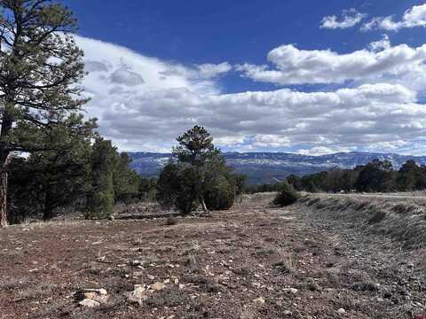 TBD Ponderosa Drive, Ridgway, CO 81432