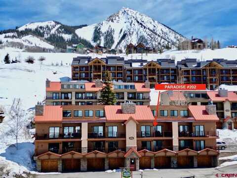 20 Hunter Hill Road, Mount Crested Butte, CO 81225