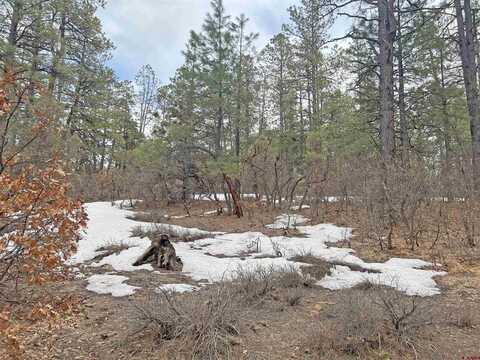 241 Wit's End Place, Pagosa Springs, CO 81147