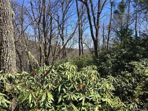 M80 Pine Mountain Trail unit: M80, Brevard, NC 28712