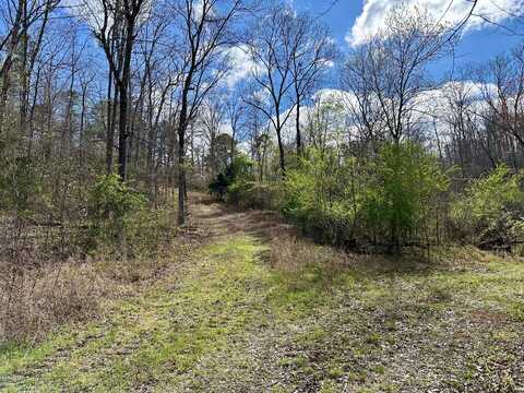 000 Skyline Ridge North Lot 12/13, Van Buren, MO 63965