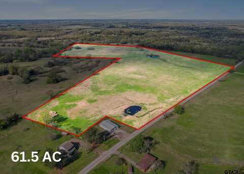 000 CR 1200 61.5 AC, Mount Pleasant, TX 75455