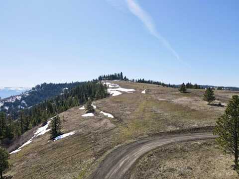 Tbd Lot 50 Twin River Ranch Iii, White Bird, ID 83554