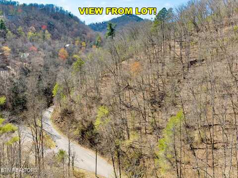 N Clear Fork Rd, Sevierville, TN 37862