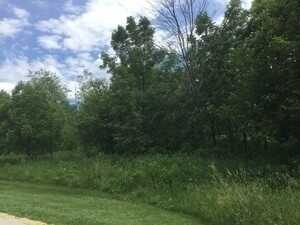 Lot 4 Williams Circle, Genoa, IL 60135