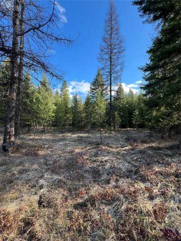 Nhn Sapphire Lane E, Trout Creek, MT 59874