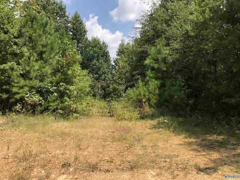 24 Acres Leeth Gap Road, Attalla, AL 35954