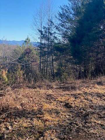 Lt 18 Brasstown Acres, Brasstown, NC 28902