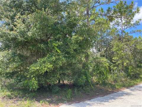 6750 E Suburban Lane, Floral City, FL 34436