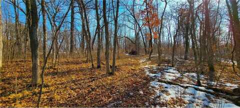 Tbd Kennedy Acres, Detroit Lakes, MN 56501