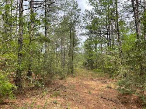 0000 Centerville Rd, Magnolia, MS 39652