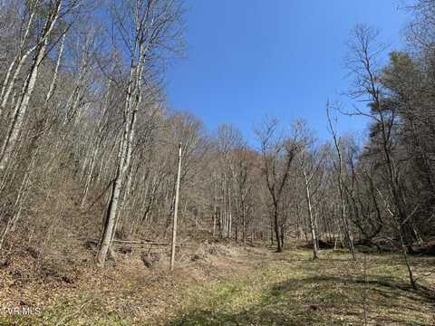 00 Tiger Creek, Roan Mountain, TN 37687