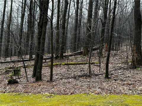 Lot 20 Pheasant Run Ln, Seven Springs, PA 15622