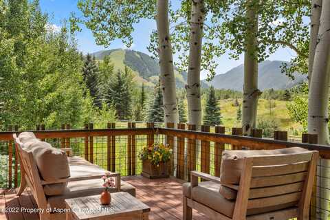 201 Heather Lane, Aspen, CO 81611